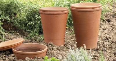 Système d'irrigation AquaDo 3,8L