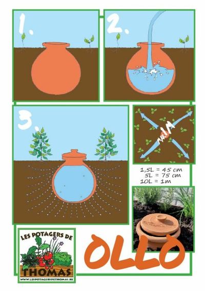 Pot Ollo 5L