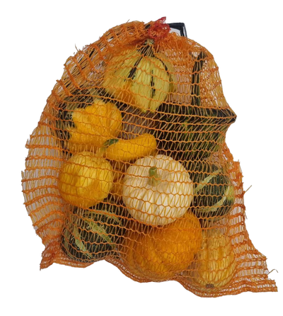 Pompoen in netje