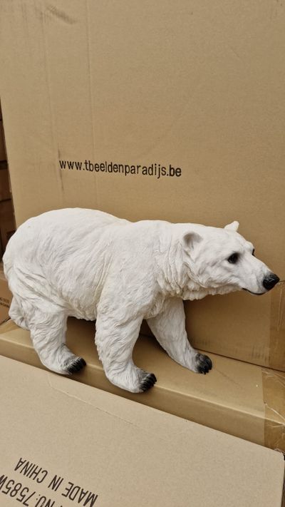 Ours polaire qui marche