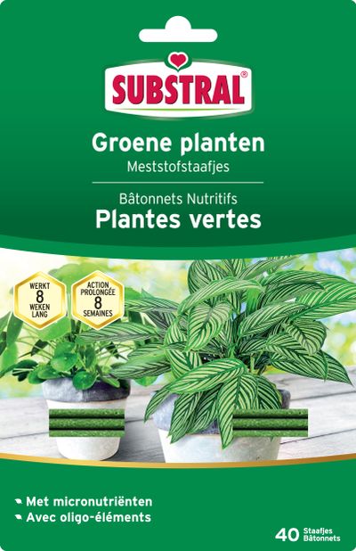 Meststofstaafjes voor groene planten 40 stuks