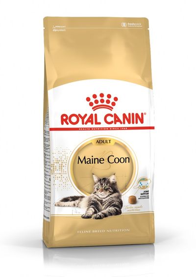 Fbn maine coon 10kg