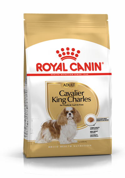 Bhn cavalier king charles 7.5kg