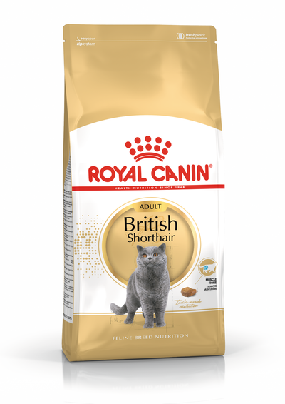 Fbn british shorthair 2kg