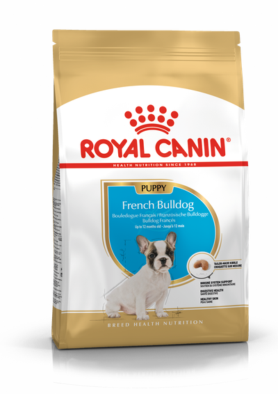 Bhn french bulldog puppy 10kg