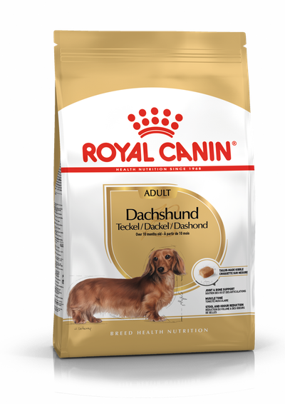 Bhn dachshund 7.5kg