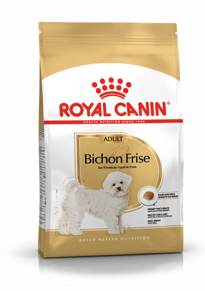Bhn bichon frise 1.5kg