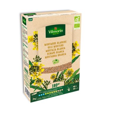 Engrais vert Moutarde Blanche