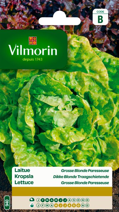 Zaden snijsla gewone 4g