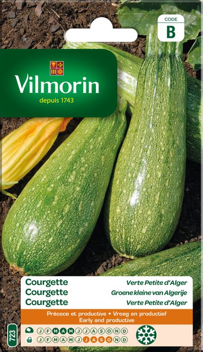 Semences courgette verte petite d'alger 5g