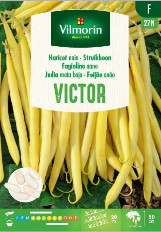 Zaden struikboon victor 100g