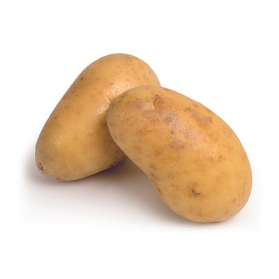 Plantaardappelen: charlotte france 32/35 zak 5kg