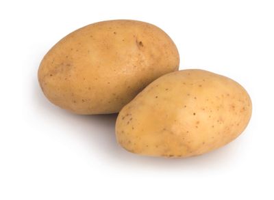 Plantaardappelen: annabelle hollande 28/32 3kg