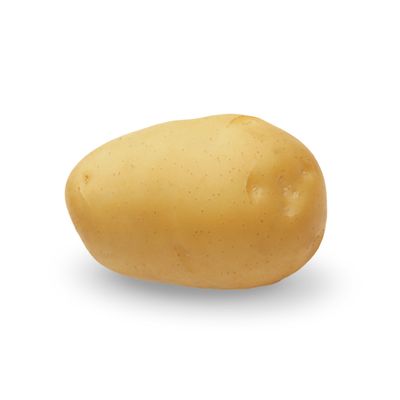 Plantaardappelen: adora france 28/35 zak 3kg