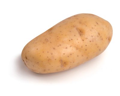 Plantaardappelen: spunta hollande 28/35 zak 5kg