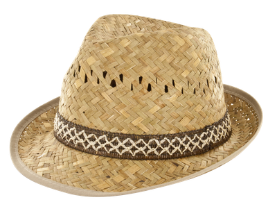 Borsalino Hoed