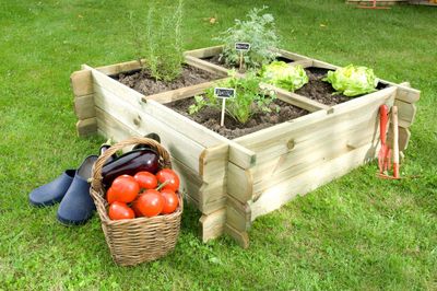 Vierkante meter moestuin Basil