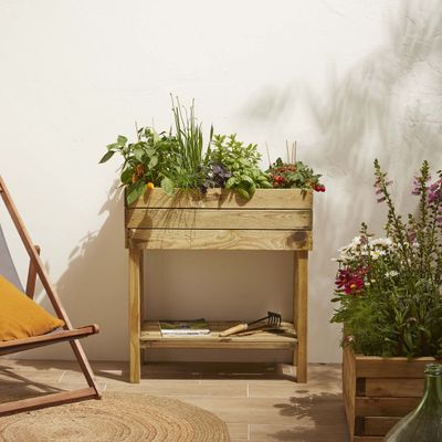 Moestuin op poten Paprika