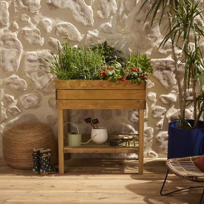 Moestuin op poten Paprika