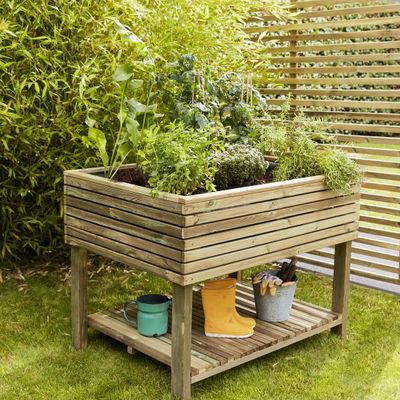 Moestuin op poten Horizon