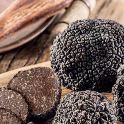 Terrine au jus de truffe noire 