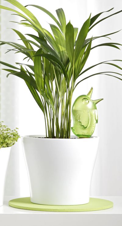 Waterreservoir Bördy XL