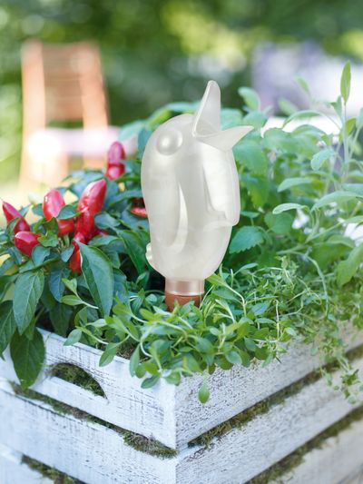 Waterreservoir Bördy XL