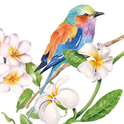 Serviette sri lanka