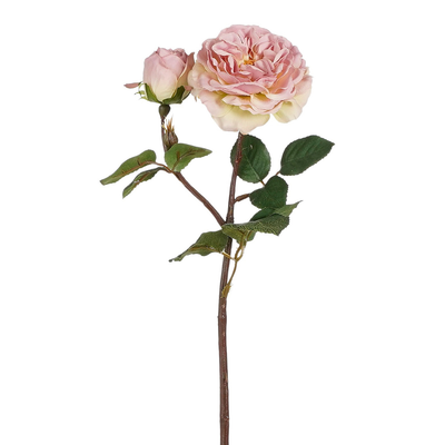 Engelse roos l.roze - l49cm 108252 lt.mauve01
