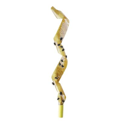 Vliegenvangers 4 stuks