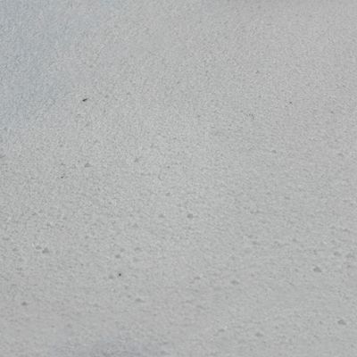 Sable daquarium snow white