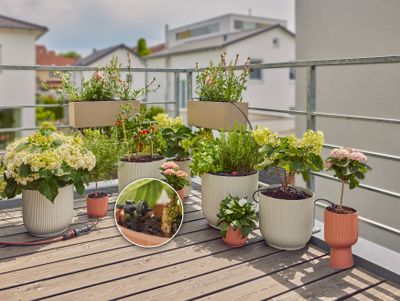 Bewatering Balkon Set