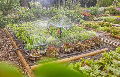 Bewatering moestuin/​bloembed Set