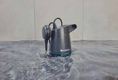 Dompelpomp voor helder water 20000 Basic