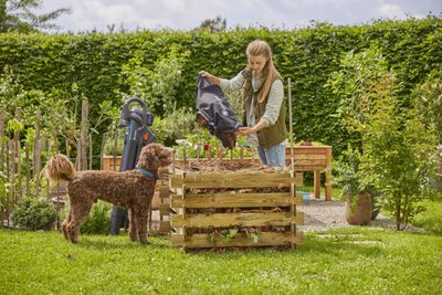 Accu bladblazer/-zuiger PowerJet Collect