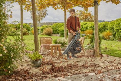 Bladblazer/bladzuiger PowerJet Collect