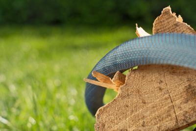 Textielslang Liano Xtreme 15m Set