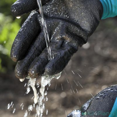 Gants de jardin pour plantation taille L