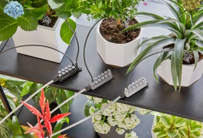 Arrosage automatique de vacances avec réserve d'eau