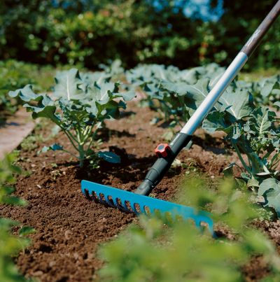 Râteau de jardin combisystem