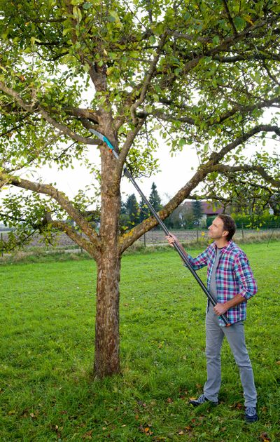 Combisysteem snoeizaag 300PP