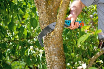 Scie arquée combisystem 300 P