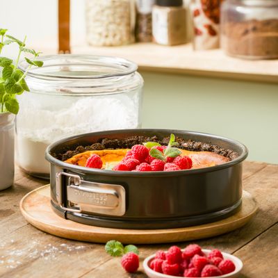 Dagelijkse kost springvorm 24 cm