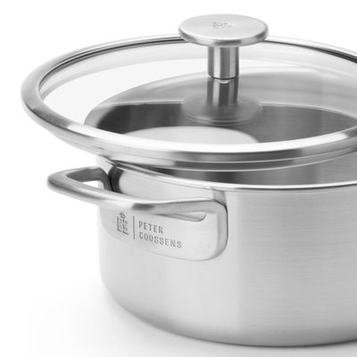 Peter goossens maestro 3-ply kookpot 20cm