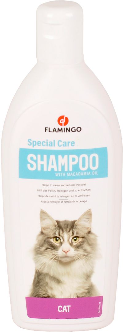 Shampooing care chat -300ml