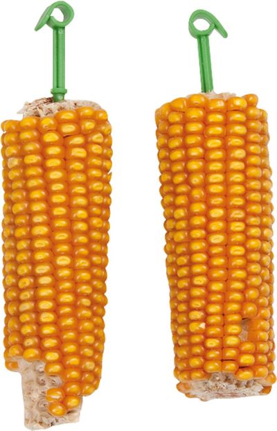 Epis de mais 2 pcs. - 200gr.