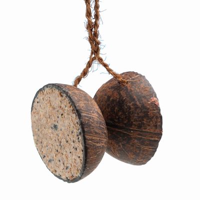 Halve kokosnoten gevuld met zaad/ bessen