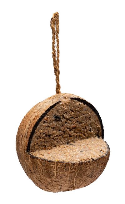 Kokosnoot gevuld met insecten olie 400g