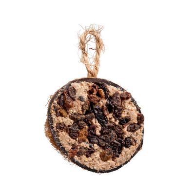 Halve kokosnoot met rozijnen