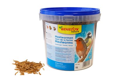 Meelwormen emmer 10 l buitenvogels